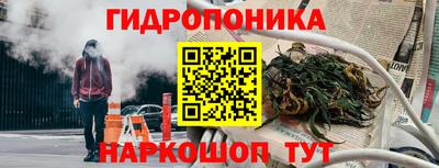 ГАЛЛЮЦИНОГЕННЫЕ ГРИБЫ Кандалакша