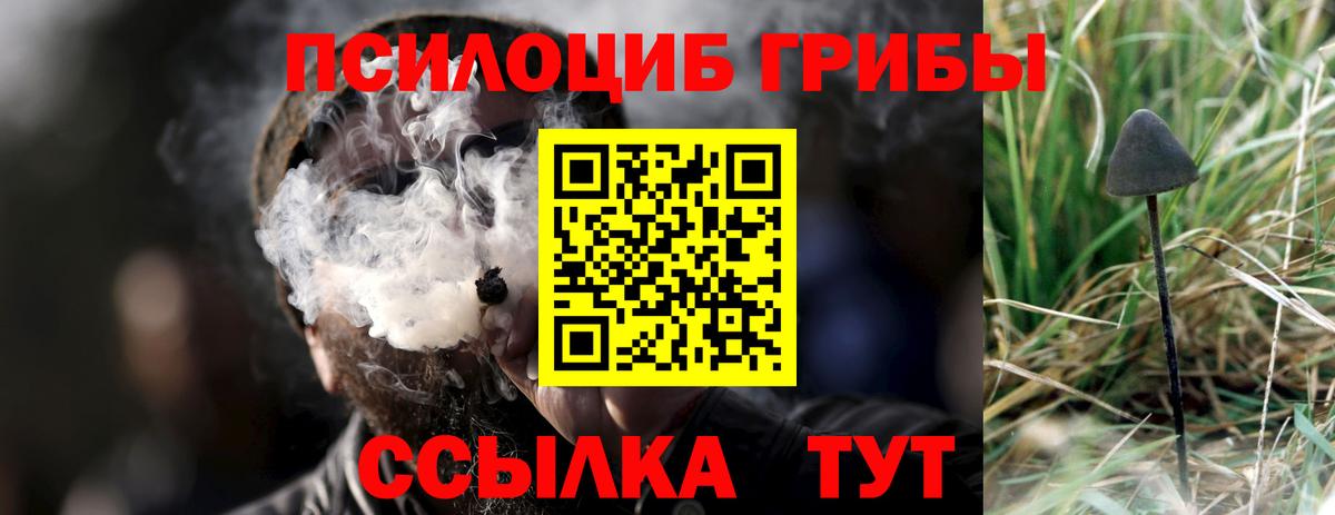 Химки  Галлюциногенные грибы Psilocybe  Псилоцибиновые грибы MAGIC MUSHROOMS  Вход с VPN 